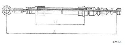 CABOR 1251.6