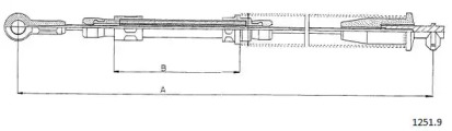 CABOR 1251.9