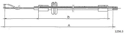 CABOR 1256.3