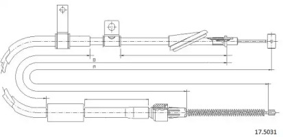 CABOR 17.5031