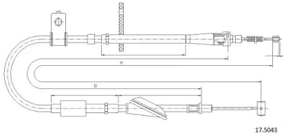 CABOR 17.5043