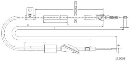 CABOR 17.5056