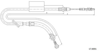 CABOR 17.6001