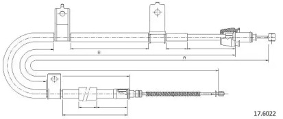 CABOR 17.6022