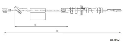 CABOR 18.6002