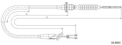 CABOR 18.6003