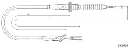 CABOR 18.6020