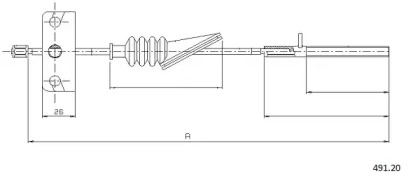 CABOR 491.20