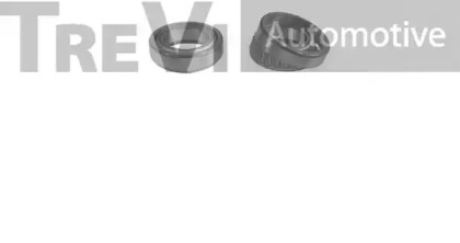 trevi automotive wb2142