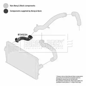 BORG & BECK BTH1234 BORG & BECK BTH1234