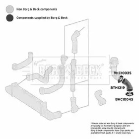 BORG & BECK BTH1319