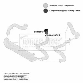 BORG & BECK BTH1596