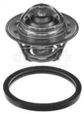 BORG & BECK BBT011 BORG & BECK BBT011