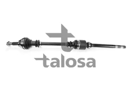 TALOSA 76-FI-8020