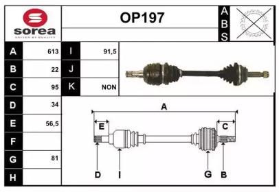 SERA OP197