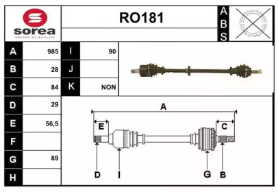 SERA RO181