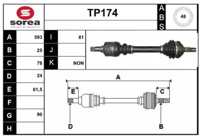 SERA TP174