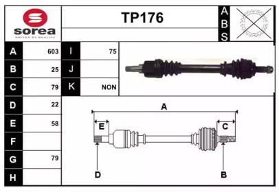 SERA TP176