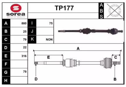 SERA TP177