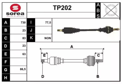 SERA TP202