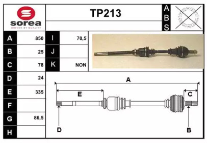 SERA TP213