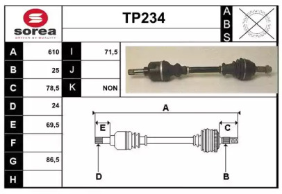 SERA TP234