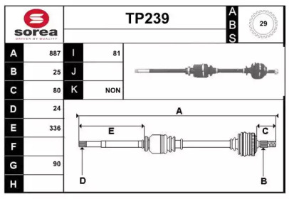 SERA TP239