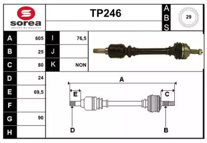 SERA TP246