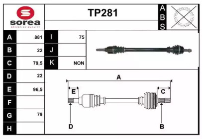 SERA TP281