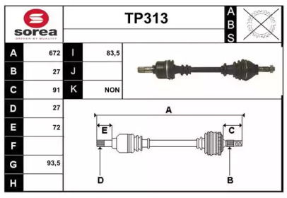SERA TP313