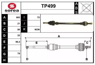 SERA TP499