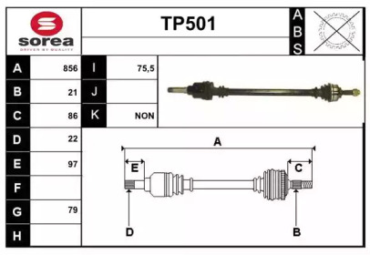 SERA TP501