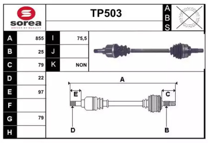 SERA TP503