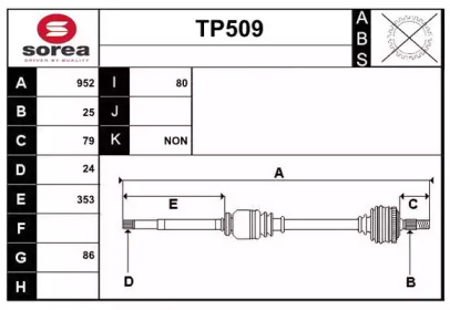 SERA TP509