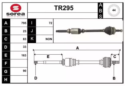 SERA TR295