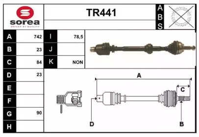 SERA TR441