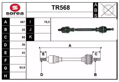 SERA TR568