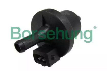 BORSEHUNG B13667