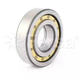 FERSA BEARINGS F 19020