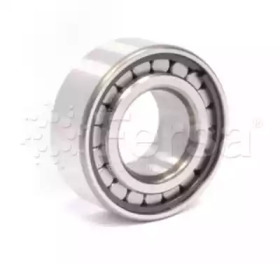 FERSA BEARINGS F 19035