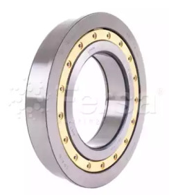 FERSA BEARINGS F 19010