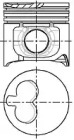 WILMINK GROUP WG1175509