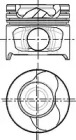 wilmink group wg1094054
