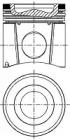WILMINK GROUP WG1443659