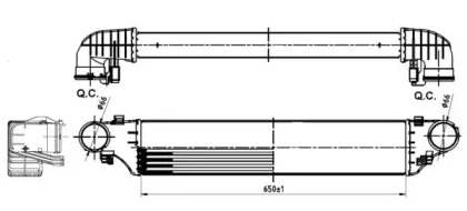 WILMINK GROUP WG1723748