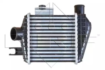 wilmink group wg1723923