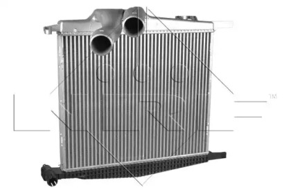 wilmink group wg1723969
