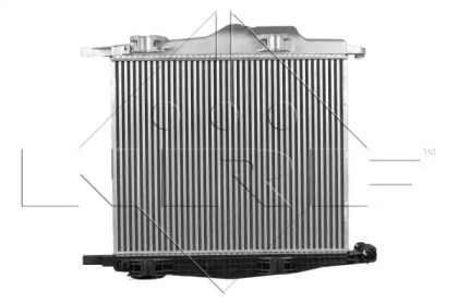 wilmink group wg1723969