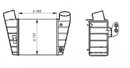 WILMINK GROUP WG1724036