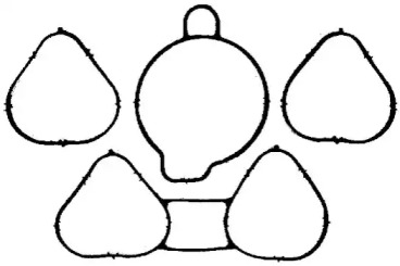 WILMINK GROUP WG1181396